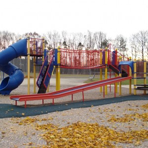 Michigan-Inclusive-Playground