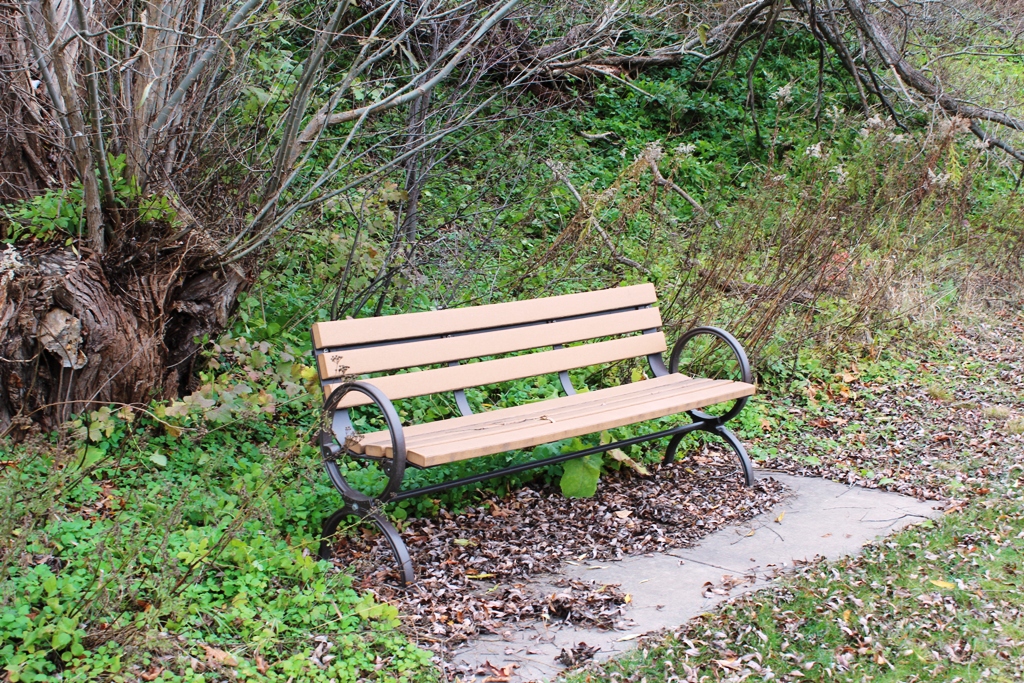 Dumor-Michigan-benches