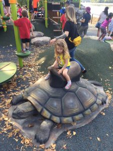 Playground turtle