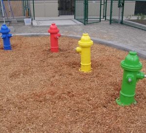 dog park fire hydrant 